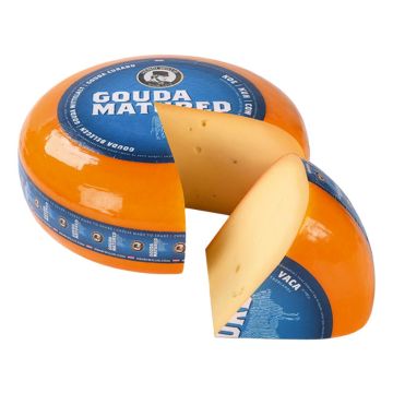 Henri Willig Gouda Belegen Wiel 48+