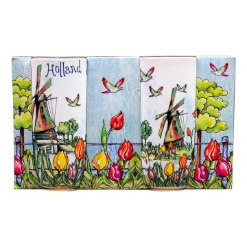 Cadeaudoos 2 mokken Kleurrijk Holland