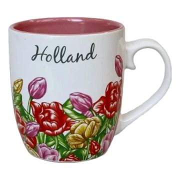 Mokje Gekleurde Tulpen 