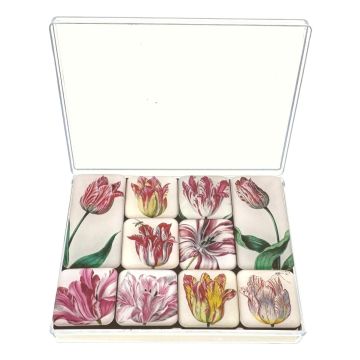 Mini Magneetjes Set Tulpen, Jacob Marrel