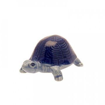 Miniatuur Schildpad