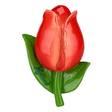 Magneet Tulp Rood XL