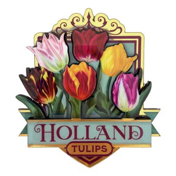 Glanzende Tulpen Magneet Holland Groen 