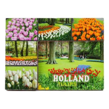 Koelkastmagneet "Tulpen Holland"