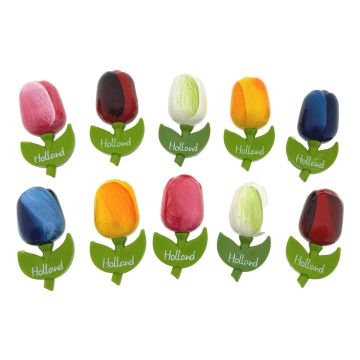 Setje Tulp Magneten, 10 stuks