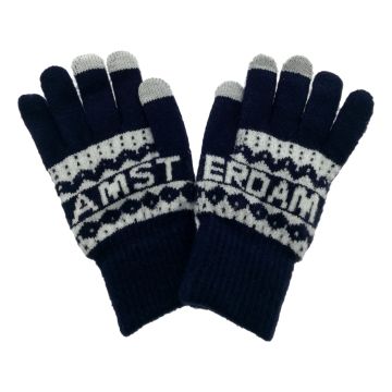 Mannen Handschoenen Amsterdam "Blauw"