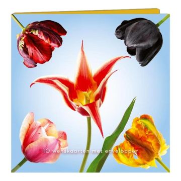 Kaartenmapje Tulpen - 10 Wenskaarten met Enveloppen