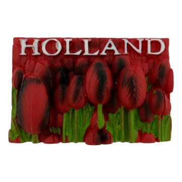 Rode Tulpen Magneet Holland - 3D