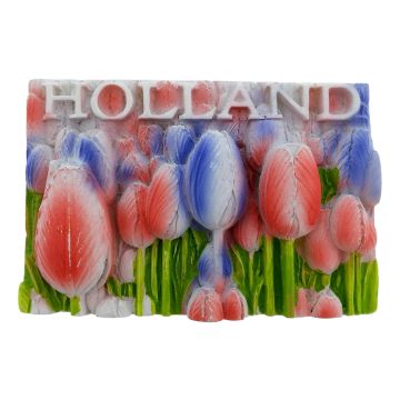 Rood-Wit-Blauwe Tulpen Magneet Holland - 3D