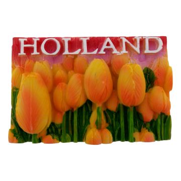 Gele Tulpen Magneet Holland - 3D