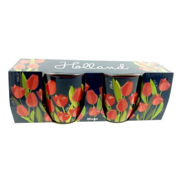 Cadeauset Twee Kopjes Klassieke Tulpen