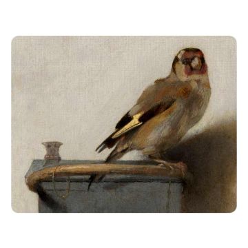 Muismat Het Puttertje, Carel Fabritius