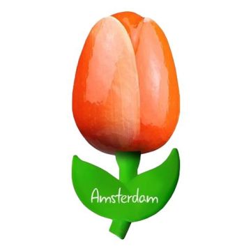 Tulip magnet "Orange with white", 10 cm