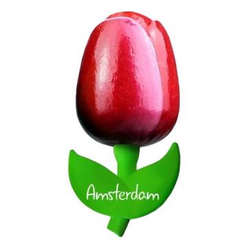 Tulip magnet "Red with white", 10 cm