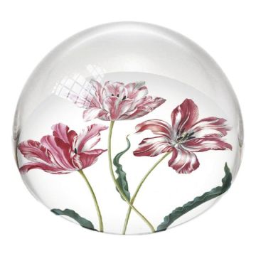 Paperweight Sphere "Three Tulips, Maria Sybilla Merian"