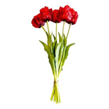 Boeket van 5 Rode Papegaaitulpen - 40 cm
