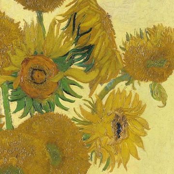 Pakje Servetten "De Zonnebloemen" (20 stuks)