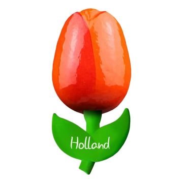 Tulpmagneet "Oranje Rood", 10 cm