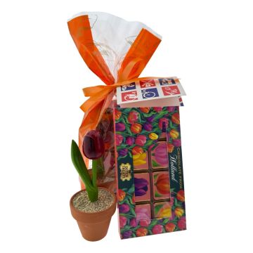Cadeauset Tulip Chocolate from Holland 