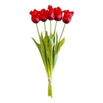 Boeket van 5 Rode Franje Tulpen - 40 cm
