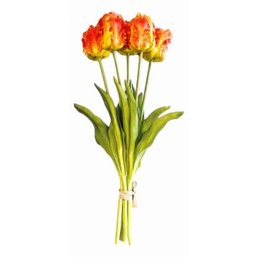 Boeket van 5 Oranje Papegaaitulpen - 40 cm