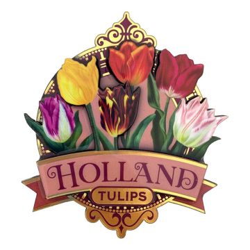 Glanzende Tulpen Magneet Holland