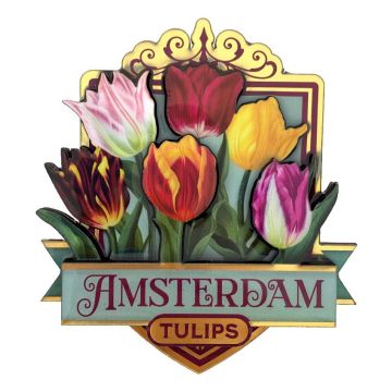 Glanzende Tulpen Magneet Amsterdam