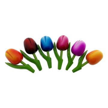 Gift Magnet set 6 Wooden Tulip Magnets, 8 cm