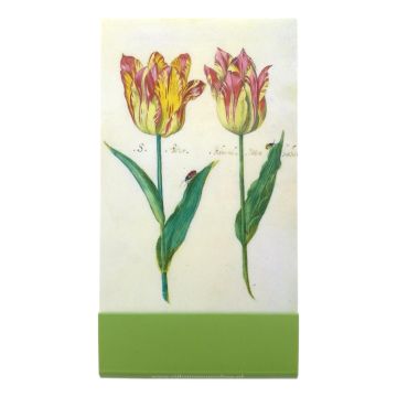 Notitieboekje klein, Twee tulpen