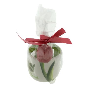 Partylight Tulip "Red" 