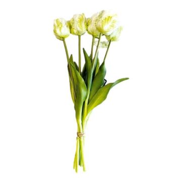 Boeket van 5 Witte Papegaaitulpen - 40 cm