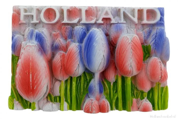Kreunt lanthaan logica Rood-Wit-Blauwe Tulpen Magneet Holland - 3D kopen bij HollandWinkel.NL