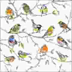 Pakje Servetten "Bird Meeting" (20 stuks)
