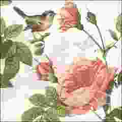 Pakje Servetten "Sophie" (20 stuks)