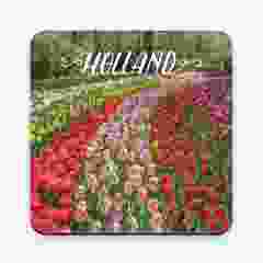 Onderzetter Tulpenveld