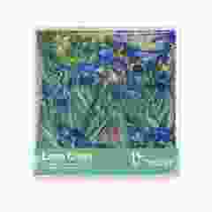 Brillendoekje, Irissen, Vincent van Gogh