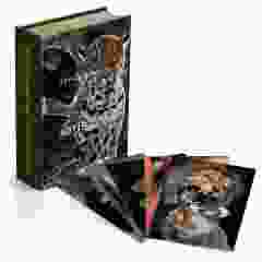 Doos met Postkaarten "Artis" (50 stuks)