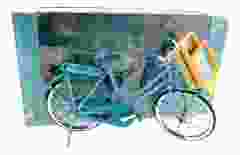 Fiets "Van Gogh Amandelbloesem"