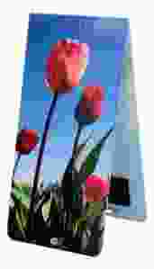 Boekenlegger  Tulpenveld