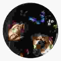 Wandbord Boomblauwtje, 31 cm