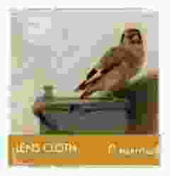 Brillendoekje "Het Puttertje", Carel Fabritius