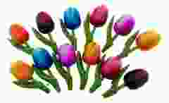 Cadeau Magneet set 12 Houten Tulp Magneten, 8 cm