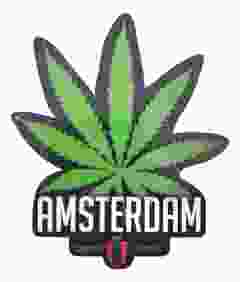 Cannabis Blad Koelkastmagneet, Groot 