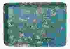 Dienblad Amandelbloesems van Van Gogh