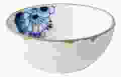 Blauw Bloesem Dipkom