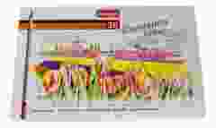 Bruynzeel Expression Kleurpotloden set van 36 potloden