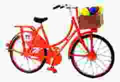 Fiets Oranje met Tulpen - Klein