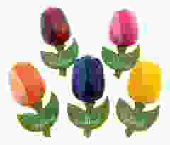Setje Tulp Magneten, 5 stuks