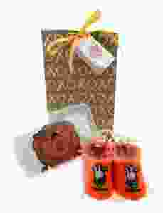 Baby Romper "White Lion" Gift set with slippers