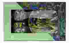 Espresso set , Vincent van Gogh, "Irissen"